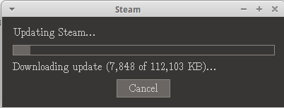 Steam installation