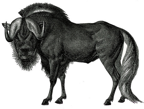 GNU