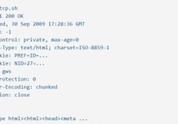 bash code
