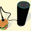 Amazon Echo plugged in to hamburger